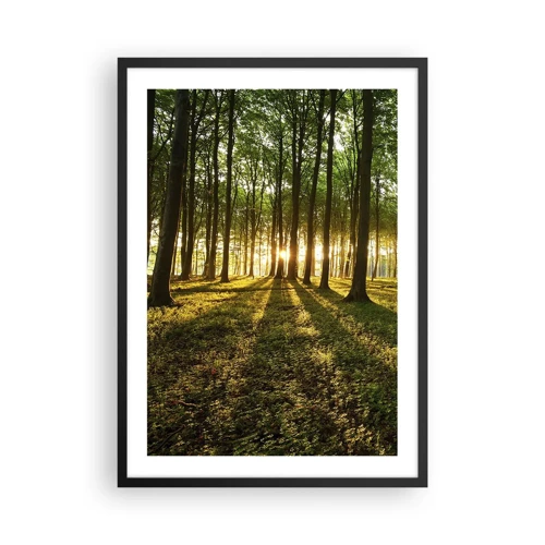 Affiche dans un cadre noir - Poster - Toutes les photographies de printemps - 50x70 cm