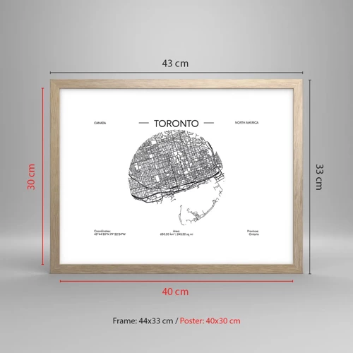 Affiche dans un chêne clair - Poster - Anatomie de Toronto - 40x30 cm