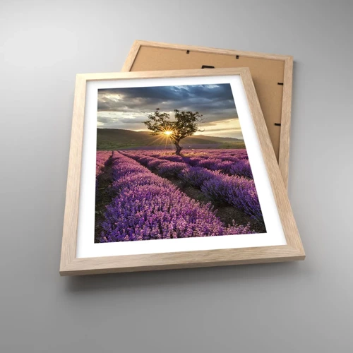 Affiche dans un chêne clair - Poster - Arôme de couleur lilas - 30x40 cm