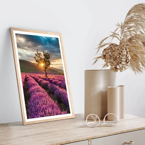 Affiche dans un chêne clair - Poster - Arôme de couleur lilas - 50x70 cm