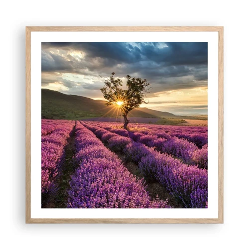 Affiche dans un chêne clair - Poster - Arôme de couleur lilas - 60x60 cm