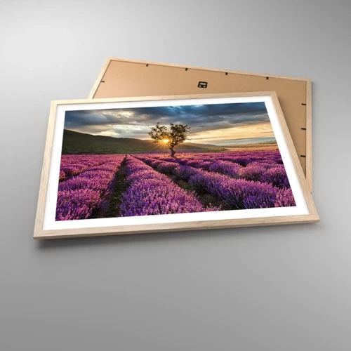 Affiche dans un chêne clair - Poster - Arôme de couleur lilas - 70x50 cm