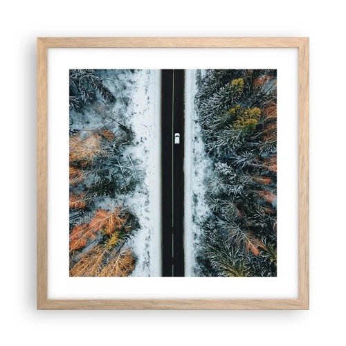 Affiche dans un chêne clair - Poster - Couper à travers la forêt d'hiver - 40x40 cm
