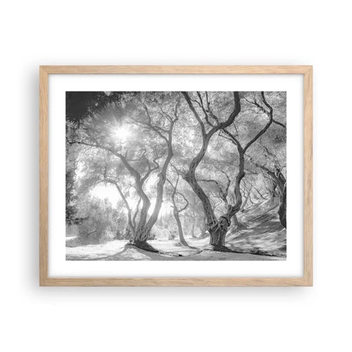 Affiche dans un chêne clair - Poster - Dans l'oliveraie - 50x40 cm