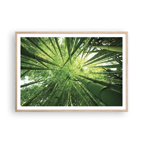 Affiche dans un chêne clair - Poster - Dans une bambouseraie - 100x70 cm