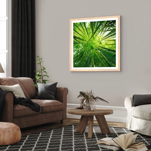 Affiche dans un chêne clair - Poster - Dans une bambouseraie - 30x30 cm