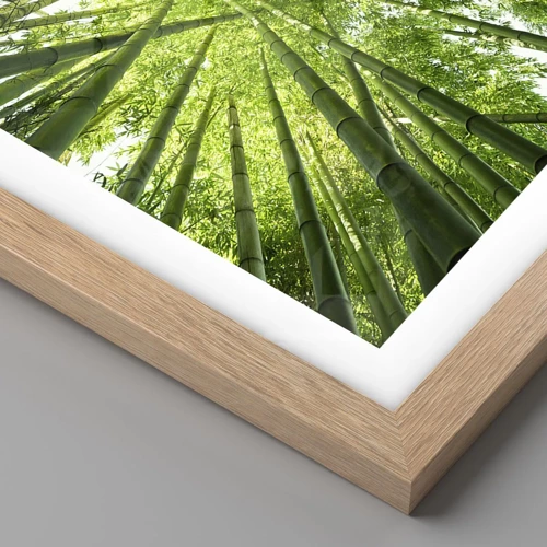 Affiche dans un chêne clair - Poster - Dans une bambouseraie - 30x40 cm