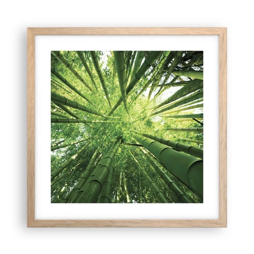 Affiche dans un chêne clair - Poster - Dans une bambouseraie - 40x40 cm