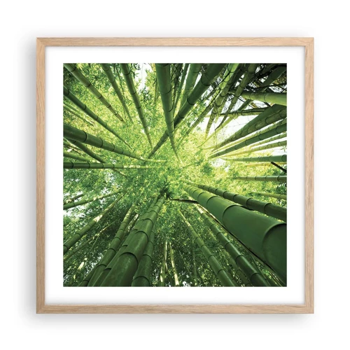 Affiche dans un chêne clair - Poster - Dans une bambouseraie - 50x50 cm