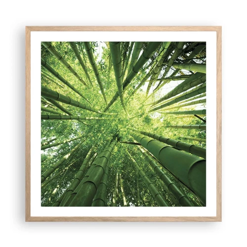 Affiche dans un chêne clair - Poster - Dans une bambouseraie - 60x60 cm