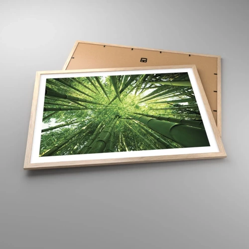 Affiche dans un chêne clair - Poster - Dans une bambouseraie - 70x50 cm