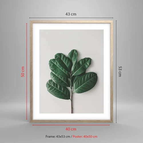 Affiche dans un chêne clair - Poster - Dessin de la nature elle-même - 40x50 cm