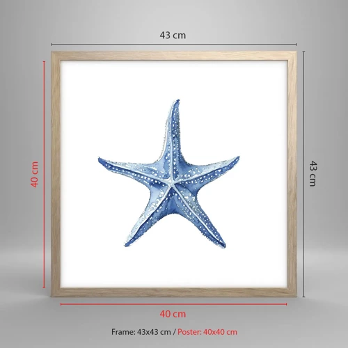 Affiche dans un chêne clair - Poster - Étoile de mer - 40x40 cm