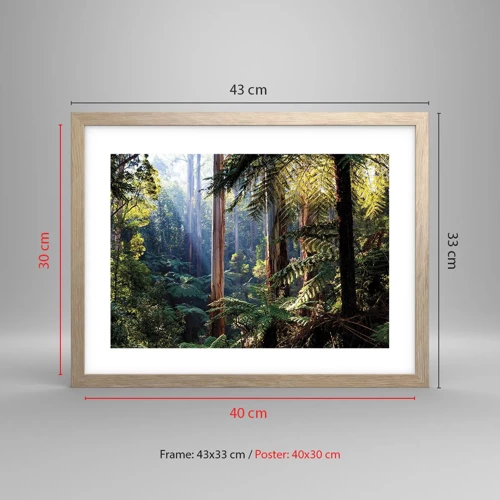 Affiche dans un chêne clair - Poster - Fable de la forêt - 40x30 cm