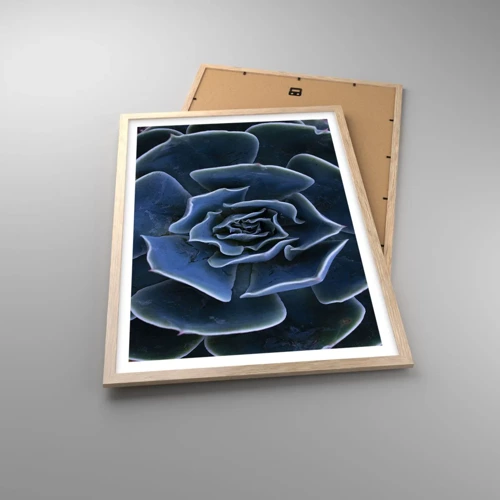 Affiche dans un chêne clair - Poster - Fleur du désert - 50x70 cm