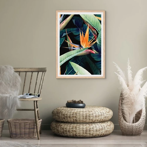Affiche dans un chêne clair - Poster - Fleurs flamboyantes des tropiques - 30x40 cm