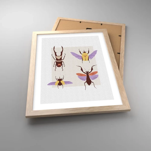 Affiche dans un chêne clair - Poster - Le monde des insectes - 30x40 cm