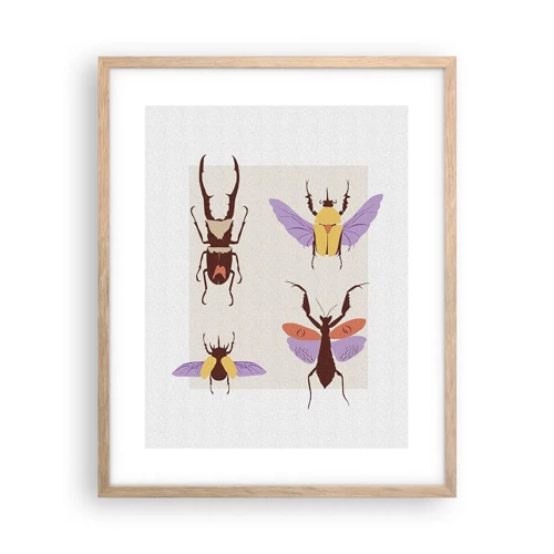 Affiche dans un chêne clair - Poster - Le monde des insectes - 40x50 cm