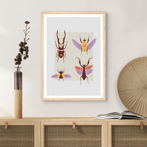Affiche dans un chêne clair - Poster - Le monde des insectes - 40x50 cm