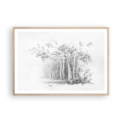 Affiche dans un chêne clair - Poster - Lumière d'une forêt de bouleaux - 100x70 cm
