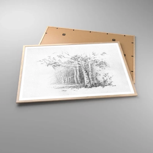 Affiche dans un chêne clair - Poster - Lumière d'une forêt de bouleaux - 100x70 cm