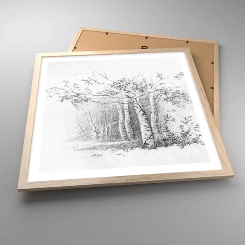 Affiche dans un chêne clair - Poster - Lumière d'une forêt de bouleaux - 50x50 cm