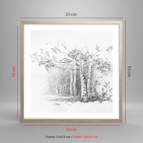 Affiche dans un chêne clair - Poster - Lumière d'une forêt de bouleaux - 50x50 cm