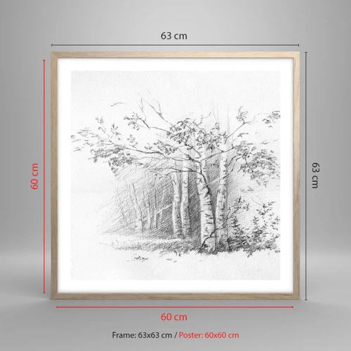 Affiche dans un chêne clair - Poster - Lumière d'une forêt de bouleaux - 60x60 cm