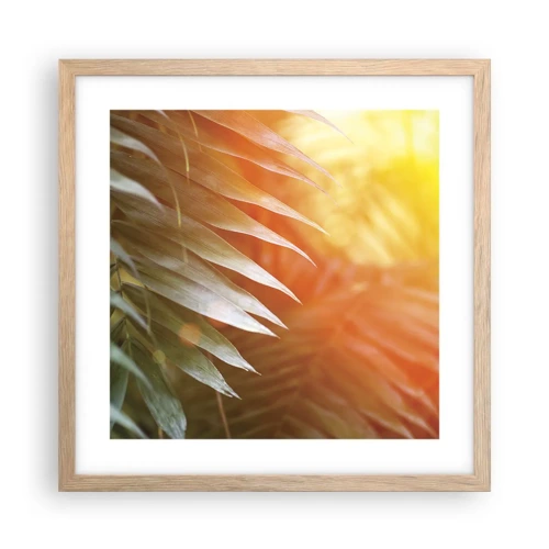Affiche dans un chêne clair - Poster - Matinée dans la jungle - 40x40 cm