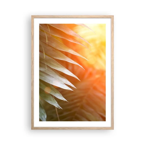 Affiche dans un chêne clair - Poster - Matinée dans la jungle - 50x70 cm