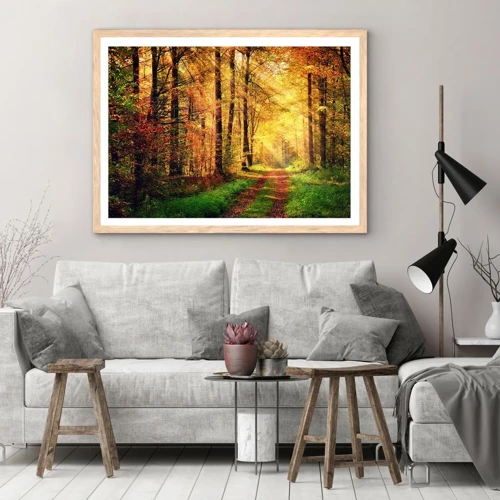 Affiche dans un chêne clair - Poster - Silence d'or en forêt - 70x50 cm