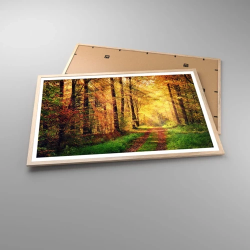 Affiche dans un chêne clair - Poster - Silence d'or en forêt - 91x61 cm