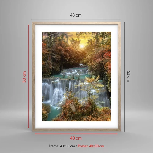 Affiche dans un chêne clair - Poster - Trésor caché de la forêt - 40x50 cm