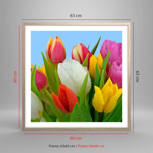 Affiche dans un chêne clair - Poster - Un arc-en-ciel fleuri en gouttes de rosée - 60x60 cm