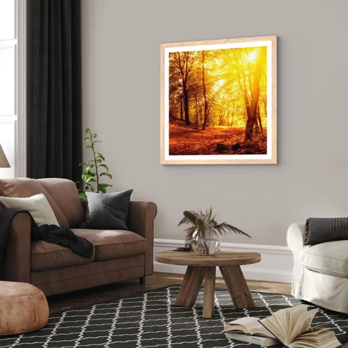 Affiche dans un chêne clair - Poster - Vers la clairière dorée - 50x50 cm