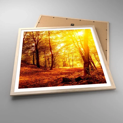 Affiche dans un chêne clair - Poster - Vers la clairière dorée - 60x60 cm