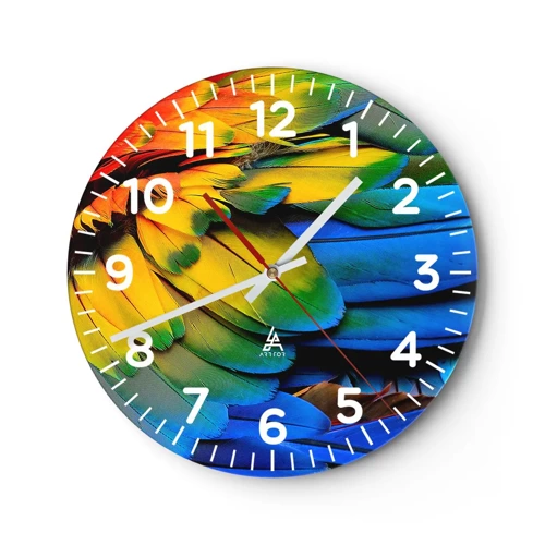 Horloge murale - Pendule murale - Oiseau de paradis - 30x30 cm