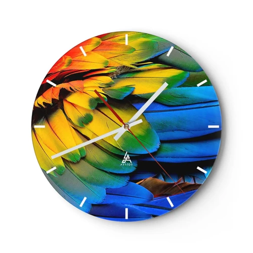 Horloge murale - Pendule murale - Oiseau de paradis - 40x40 cm