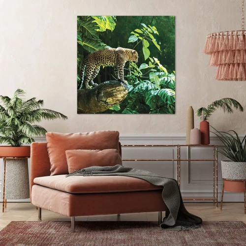 Impression sur toile - Image sur toile - À la chasse? - 60x60 cm