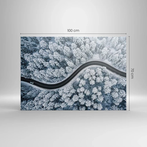 Impression sur toile - Image sur toile - À travers une forêt d'hiver - 100x70 cm