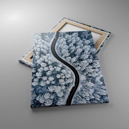 Impression sur toile - Image sur toile - À travers une forêt d'hiver - 50x70 cm