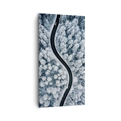 Impression sur toile - Image sur toile - À travers une forêt d'hiver - 55x100 cm