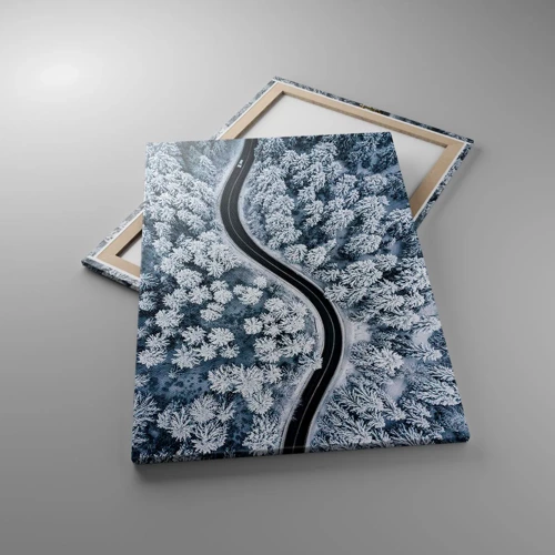 Impression sur toile - Image sur toile - À travers une forêt d'hiver - 70x100 cm