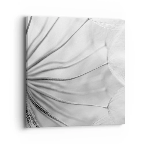 Impression sur toile - Image sur toile - Aigrette avant son envol - 40x40 cm