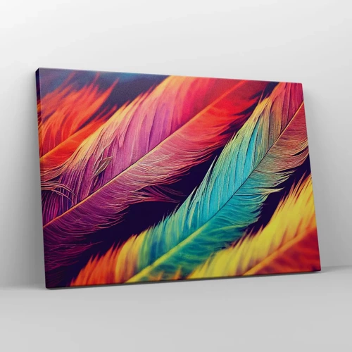 Impression sur toile - Image sur toile - Arc-en-ciel de plumes - 70x50 cm