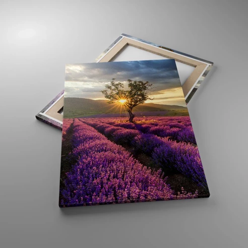 Impression sur toile - Image sur toile - Arôme de couleur lilas - 50x70 cm