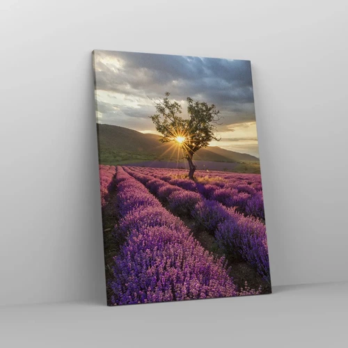 Impression sur toile - Image sur toile - Arôme de couleur lilas - 50x70 cm