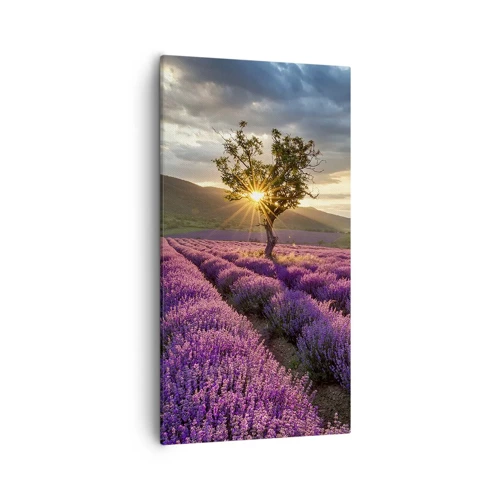 Impression sur toile - Image sur toile - Arôme de couleur lilas - 55x100 cm