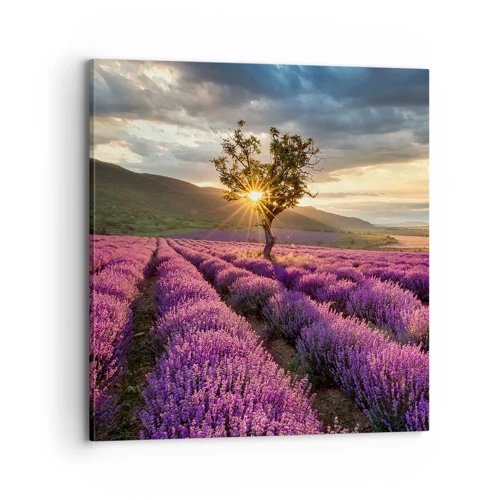 Impression sur toile - Image sur toile - Arôme de couleur lilas - 70x70 cm