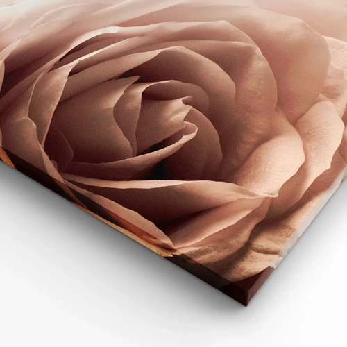 Impression sur toile - Image sur toile - Au coeur d'ue la rose - 120x80 cm